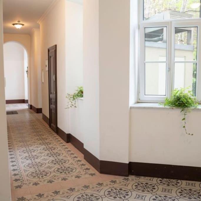 Josef'S Home I Apartment Klaehrgasse I 01 维也纳 外观 照片